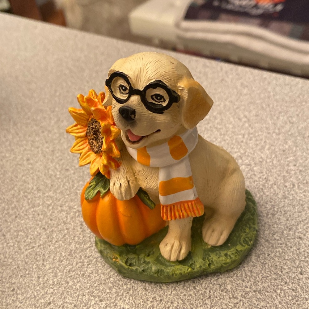 Fall decorations